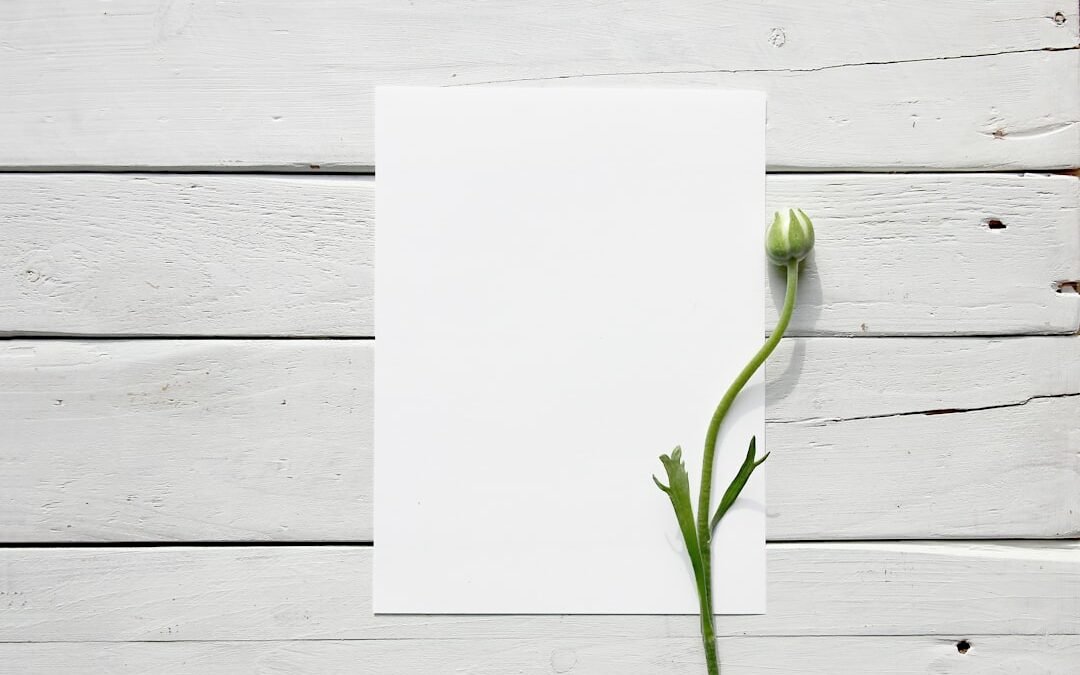 plongez dans notre nouveau livre blanc !