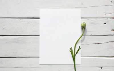 plongez dans notre nouveau livre blanc !